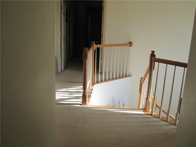 106 Conestoga Dr, Peters Twp, PA 15367 - staircase featuring carpet