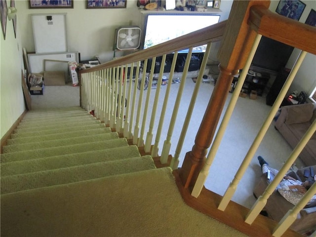 stairway with carpet flooring