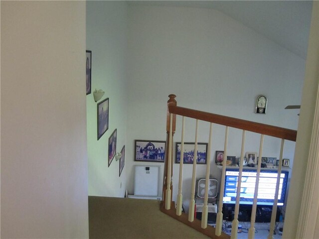 106 Conestoga Dr, Peters Twp, PA 15367 - stairway featuring vaulted ceiling