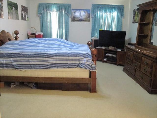 106 Conestoga Dr, Peters Twp, PA 15367 - bedroom featuring light carpet