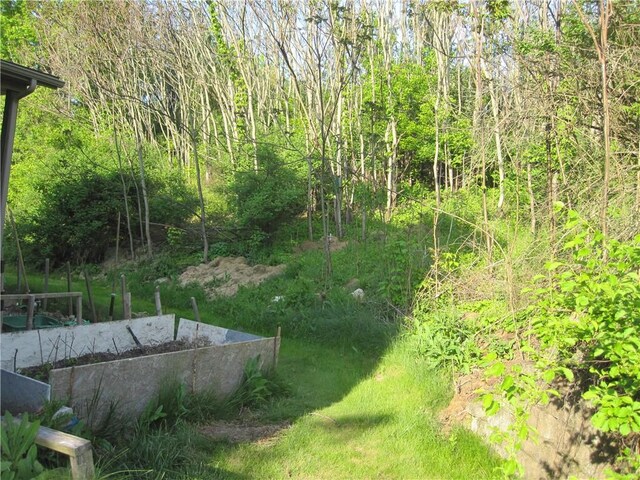 106 Conestoga Dr, Peters Twp, PA 15367 - view of yard