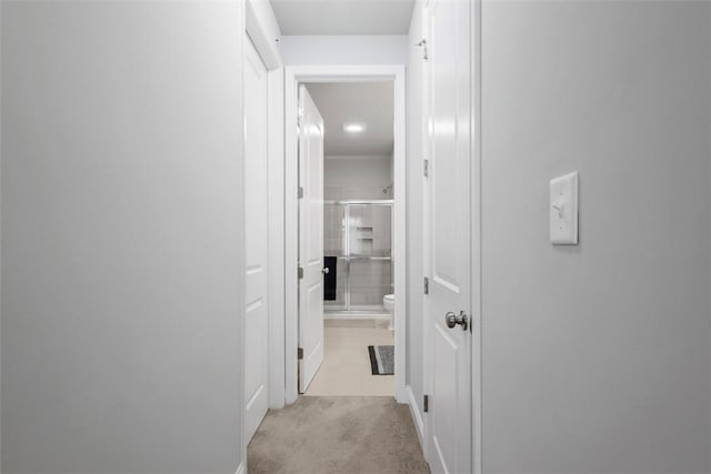 corridor featuring light carpet