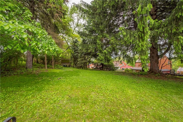 view of grassy yard