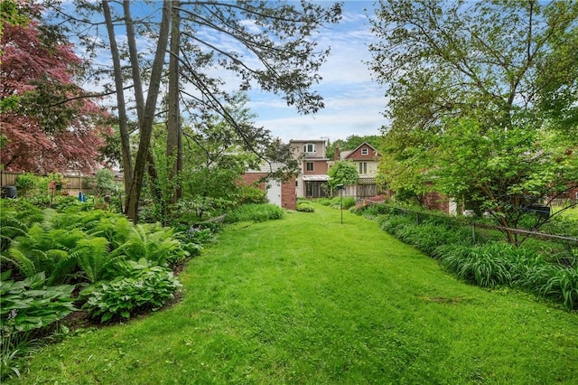 6640 Wilkins Ave, Squirrel Hill, PA 15217 - view of yard