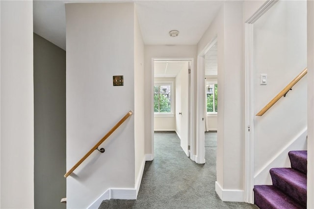 6640 Wilkins Ave, Squirrel Hill, PA 15217 - hallway featuring carpet floors and an upstairs landing
