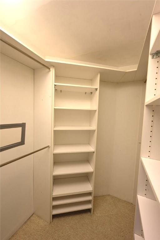 6640 Wilkins Ave, Squirrel Hill, PA 15217 - spacious closet with carpet flooring