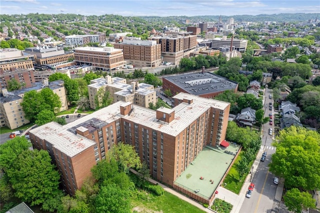 bird's eye view