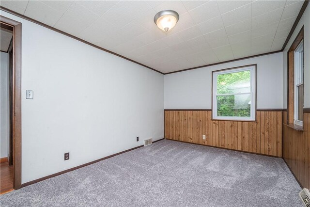 6109 Roy St, Union Twp, PA 15332 - spare room featuring carpet, wood walls, a wainscoted wall, and crown molding