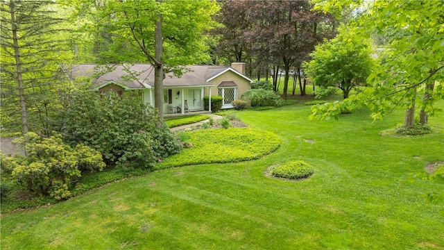 view of grassy yard