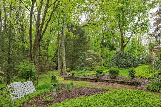 view of yard with a wooded view