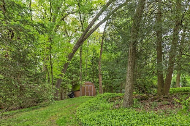 view of yard with a storage shed, an outbuilding, and a forest view