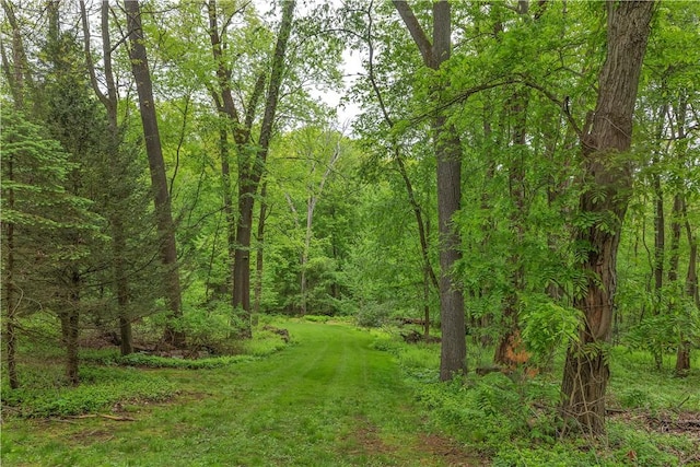 view of wooded area