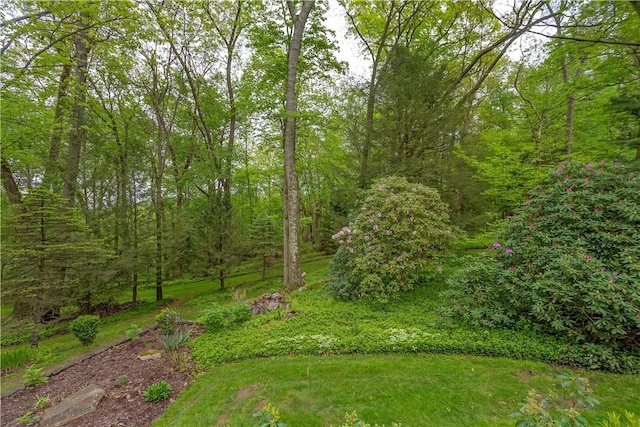view of yard featuring a view of trees