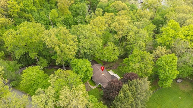 drone / aerial view of a forest