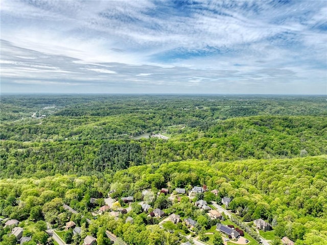 aerial perspective of suburban area featuring a heavily wooded area