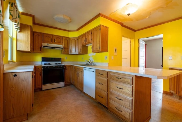 134 Kirk Ave, Carrick, PA 15227 - kitchen with range with gas stovetop, dishwasher, under cabinet range hood, a peninsula, and light countertops