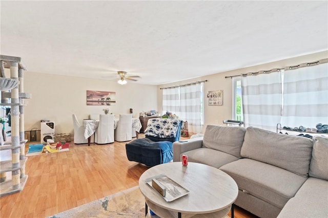 living area featuring wood finished floors and ceiling fan