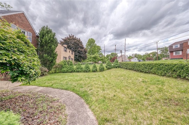 1593 Riverside Dr, Penn Hills, PA 15147 - view of grassy yard
