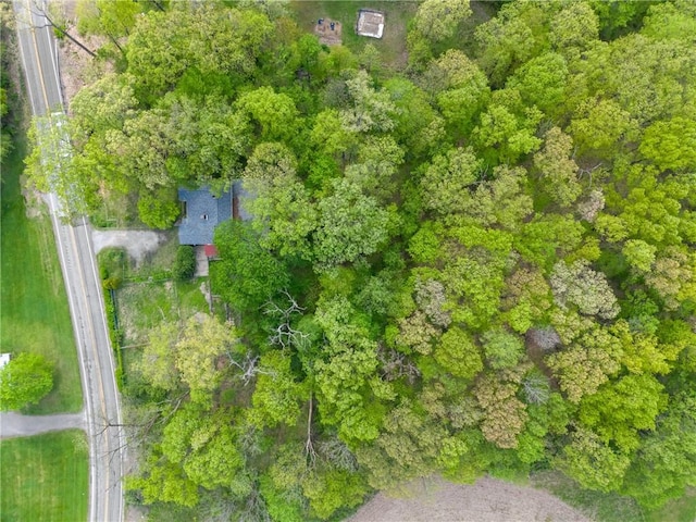 bird's eye view
