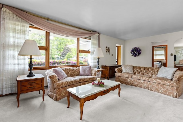 living room with carpet