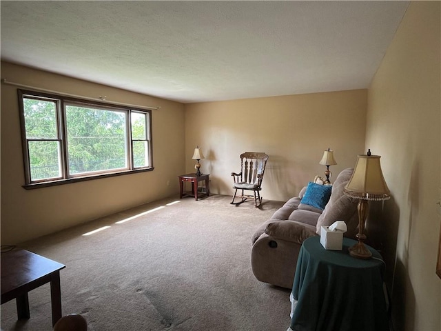 sitting room with carpet floors