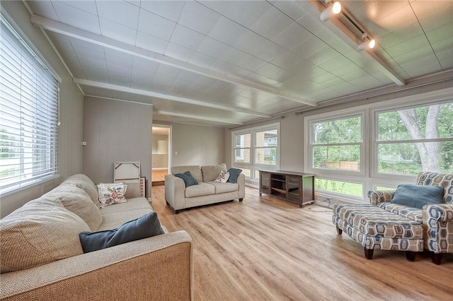 140 8th Ave, Ross Twp, PA 15229 - living room featuring wood finished floors and track lighting