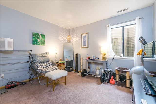 sitting room with carpet flooring