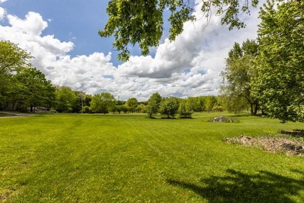 view of grassy yard