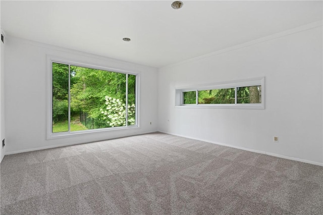 3413 Ridgewood Dr, Churchill Boro, PA 15235 - carpeted empty room featuring baseboards and ornamental molding