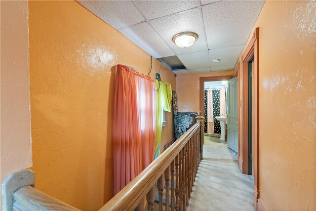 816 E 11th Ave, Munhall, PA 15120 - hallway with a textured wall, a paneled ceiling, and carpet flooring