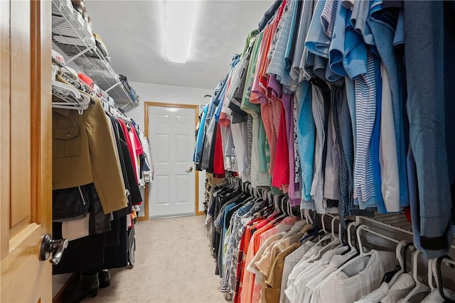spacious closet with light carpet
