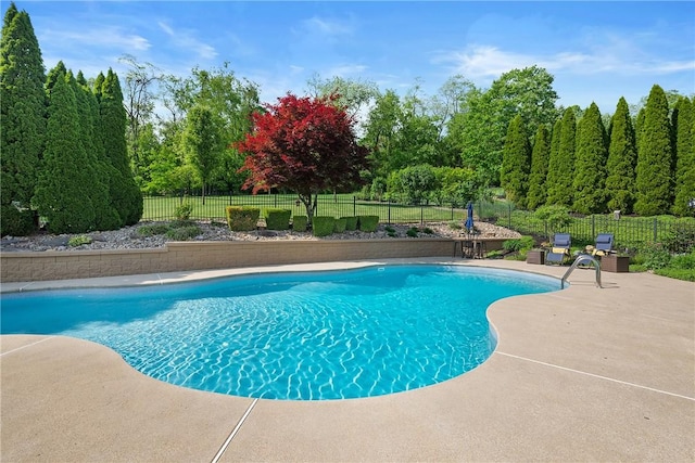 view of pool with a patio area and a fenced backyard