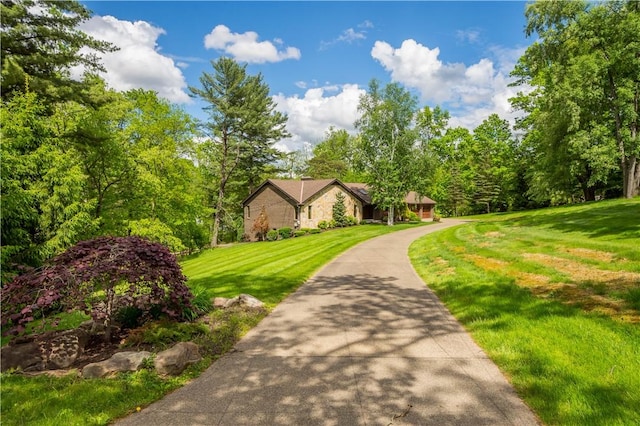 114 Moore Dr, Peters Twp, PA 15317 - view of property's community with a lawn and driveway