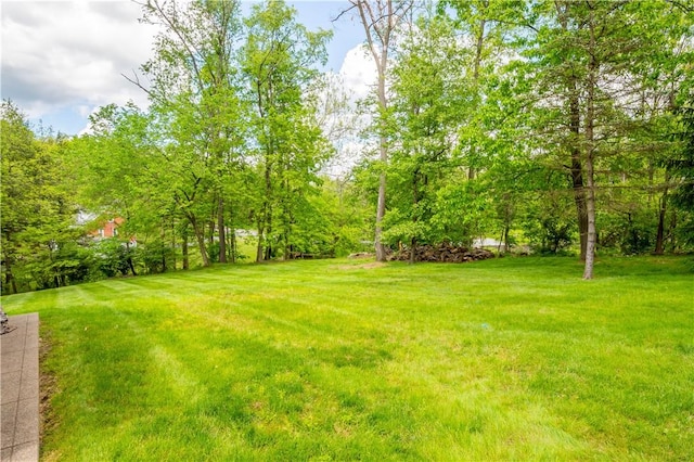 114 Moore Dr, Peters Twp, PA 15317 - view of grassy yard