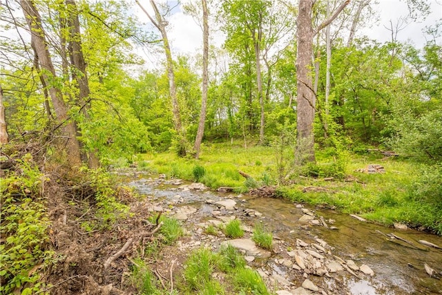 114 Moore Dr, Peters Twp, PA 15317 - view of undeveloped land