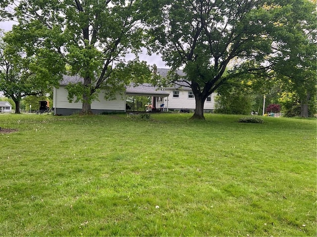4536 State Route 158, Wilmington Twp, PA 16142 - view of green lawn