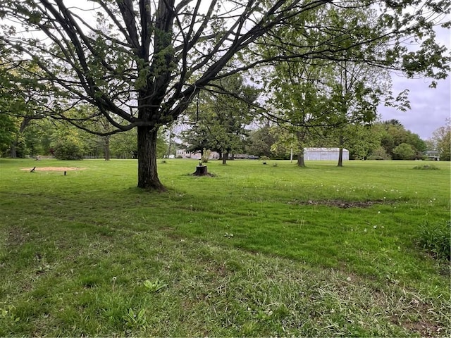 4536 State Route 158, Wilmington Twp, PA 16142 - view of green lawn