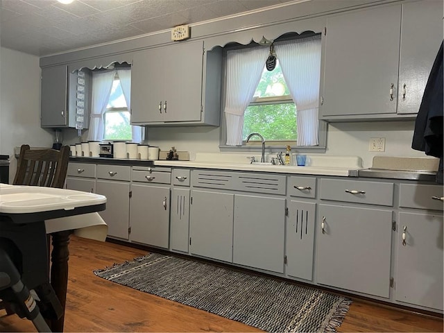 4536 State Route 158, Wilmington Twp, PA 16142 - kitchen featuring gray cabinetry, dark wood finished floors, plenty of natural light, and a sink