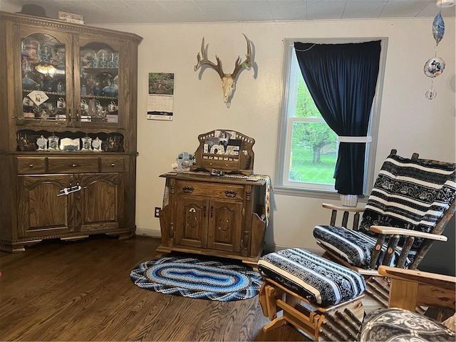 4536 State Route 158, Wilmington Twp, PA 16142 - living area with dark wood finished floors