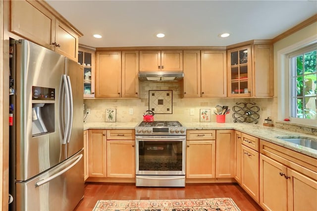 kitchen featuring appliances with stainless steel finishes, under cabinet range hood, wood finished floors, decorative backsplash, and recessed lighting