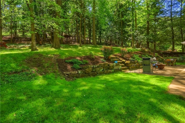view of green lawn