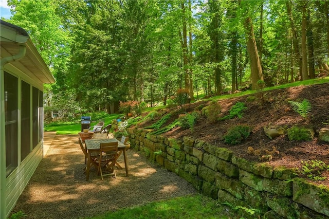 view of yard with outdoor dining area and a patio