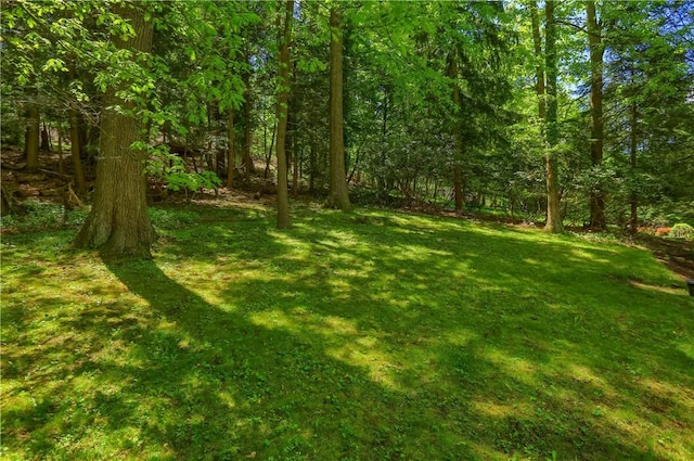 view of grassy yard