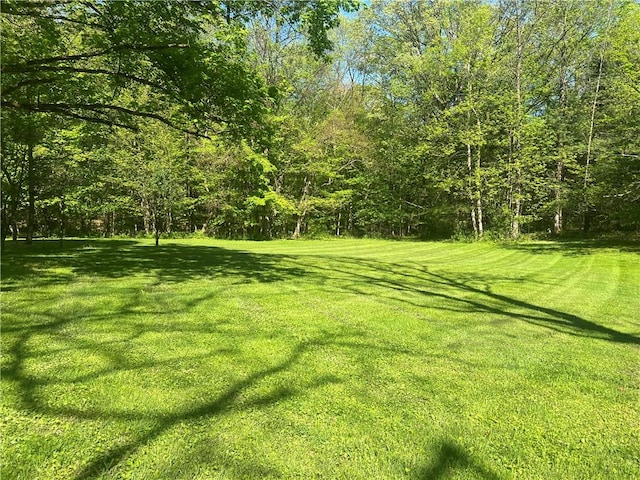 150 Long Hill Rd, Salem Twp Mer, PA 16130 - view of green lawn
