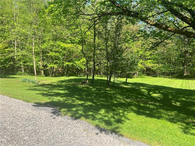 150 Long Hill Rd, Salem Twp Mer, PA 16130 - view of grassy yard with a wooded view