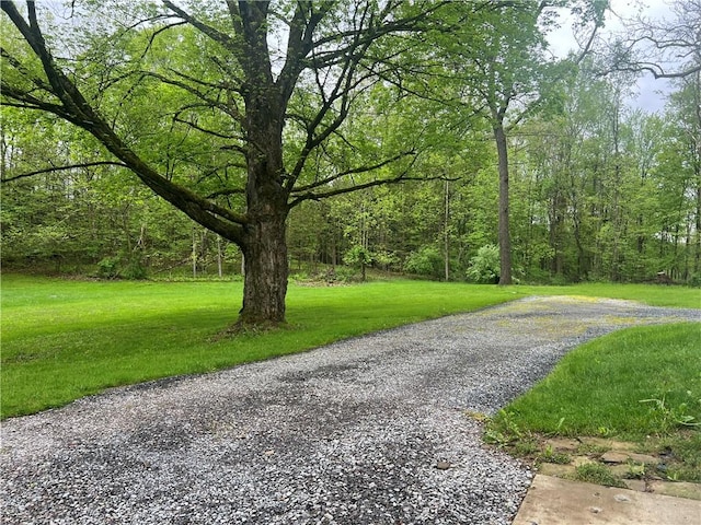 150 Long Hill Rd, Salem Twp Mer, PA 16130 - view of home's community with a lawn and a view of trees