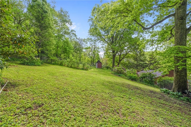 318 Milbren Dr, Penn Hills, PA 15147 - view of grassy yard with a storage shed and an outbuilding