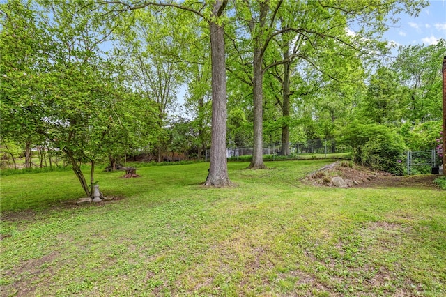 318 Milbren Dr, Penn Hills, PA 15147 - view of yard
