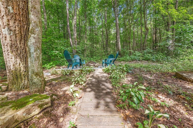 147 Crimson Oak Rd, Jefferson Twp Som, PA 15501 - view of yard with a fire pit