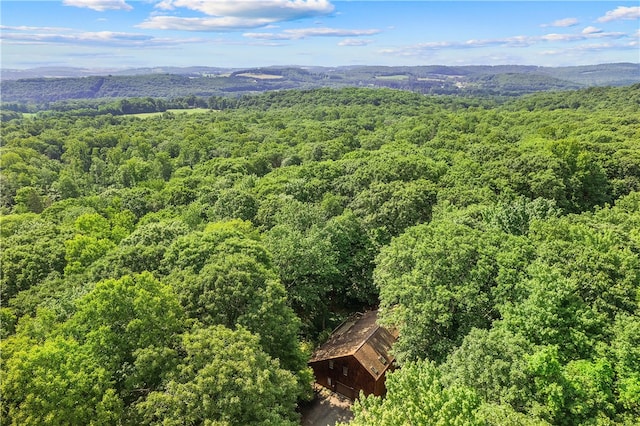 147 Crimson Oak Rd, Jefferson Twp Som, PA 15501 - view of subject property with a forest